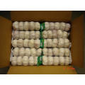 2021 Promotional New Crop High Quality Natural Normal White Fresh Garlic